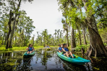 Half-day kayak tour in Manchac Swamp